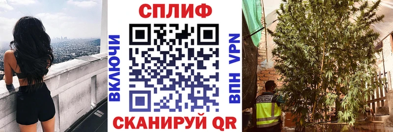Марихуана семена  Купить где  Мамоново 